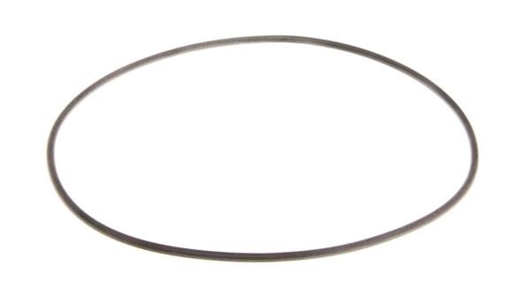 0734313083 ZF Seal Ring
