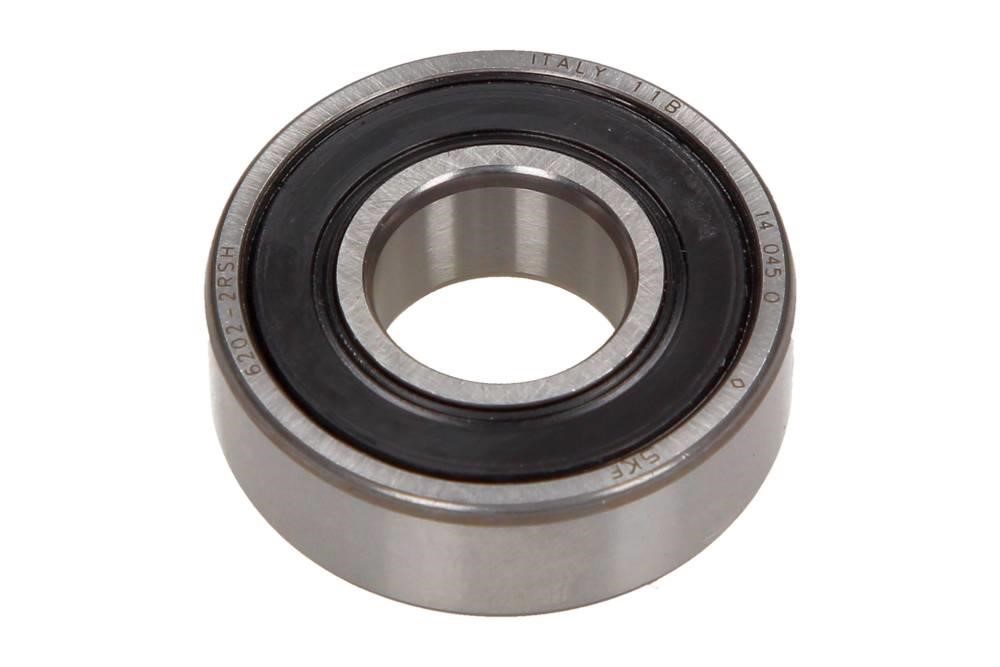 62022RSH SKF Bearing