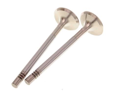 Inlet valve engine Fiat: 171046 TRW Engine Intake valve