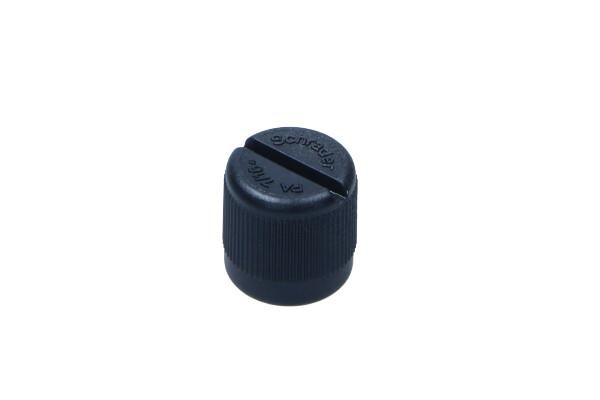 06F133335A VAG Sealing cap