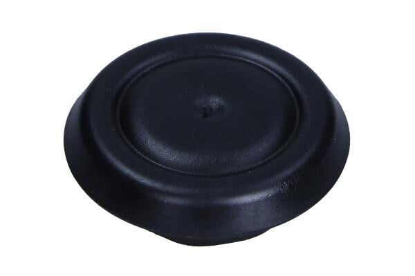 N10124501 VAG Plug