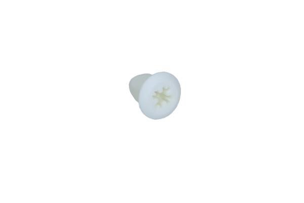 N10318001 VAG Nut