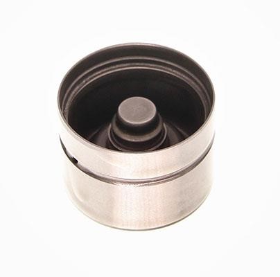 Buy AE FOL153 at a low price in United Arab Emirates!