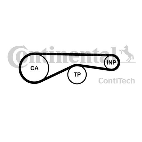 Buy Contitech CT1095 at a low price in United Arab Emirates!