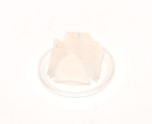 431807300D VAG Nut