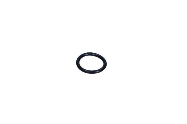 Nissan 16618-8H800 Fuel injector O-ring 166188H800 166188H800 Nissan Fuel injector O-ring