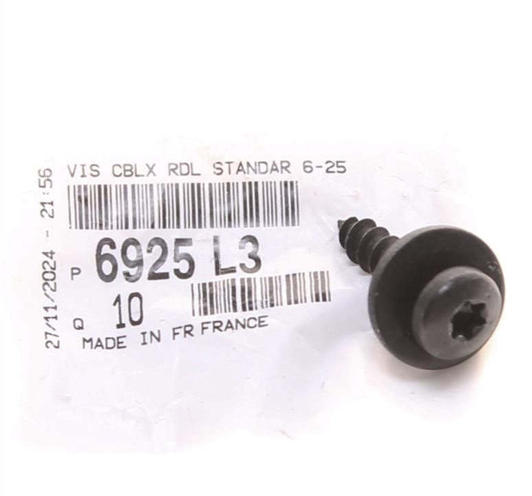 6925L3 Citroen/Peugeot Self tapping screw