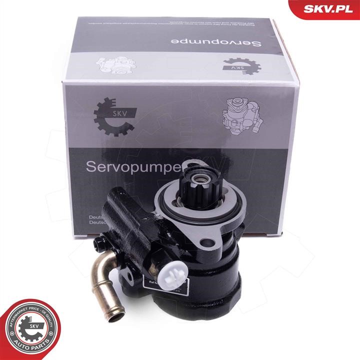 10SKV315 Esen SKV Hydraulic Pump, steering