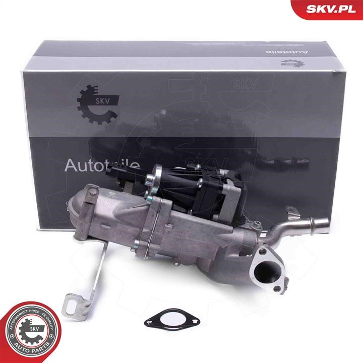 Exhaust system Ford B-Max: 14SKV240 Esen SKV EGR Valve