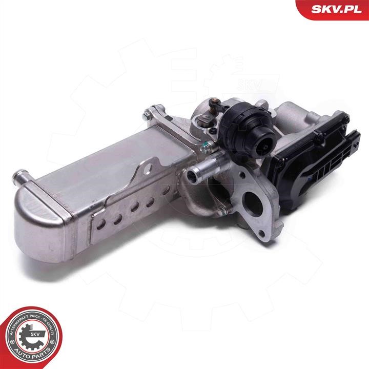 EGR Valve Esen SKV 14SKV241