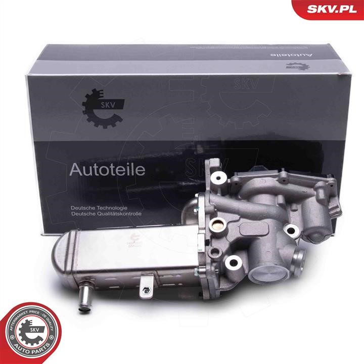 Esen SKV 14SKV241 EGR Valve 14SKV241 14SKV241 Esen SKV EGR Valve
