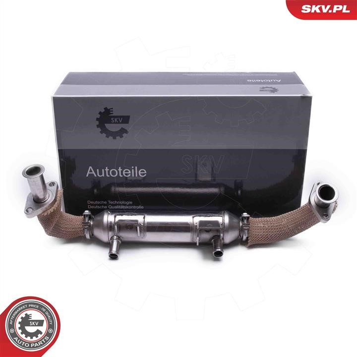 14SKV245 Esen SKV Cooler, exhaust gas recirculation