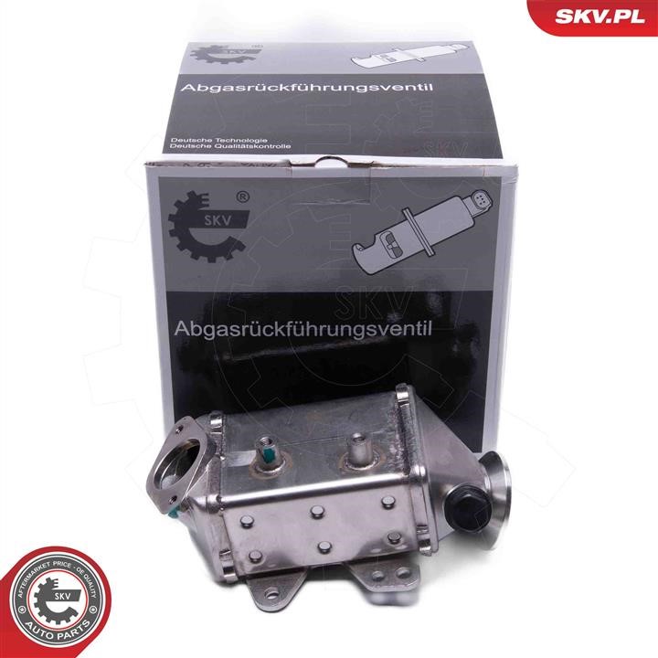 14SKV249 Esen SKV Cooler, exhaust gas recirculation