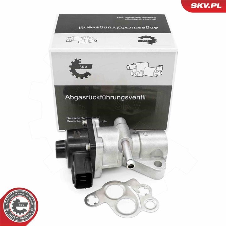 Exhaust system Mazda 3 (BL) Hatchback: 14SKV282 Esen SKV EGR Valve