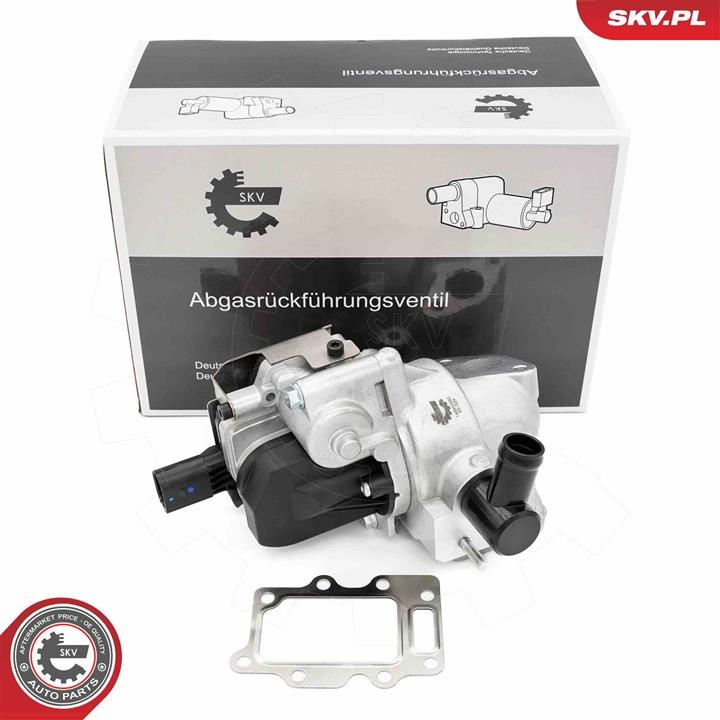 Exhaust system KIA Optima/K5 (JF) Sedan (Kia Optima/K5 (JF) Sedan): 14SKV280 Esen SKV EGR Valve
