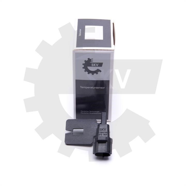 17SKV705 Esen SKV Sensor, exterior temperature