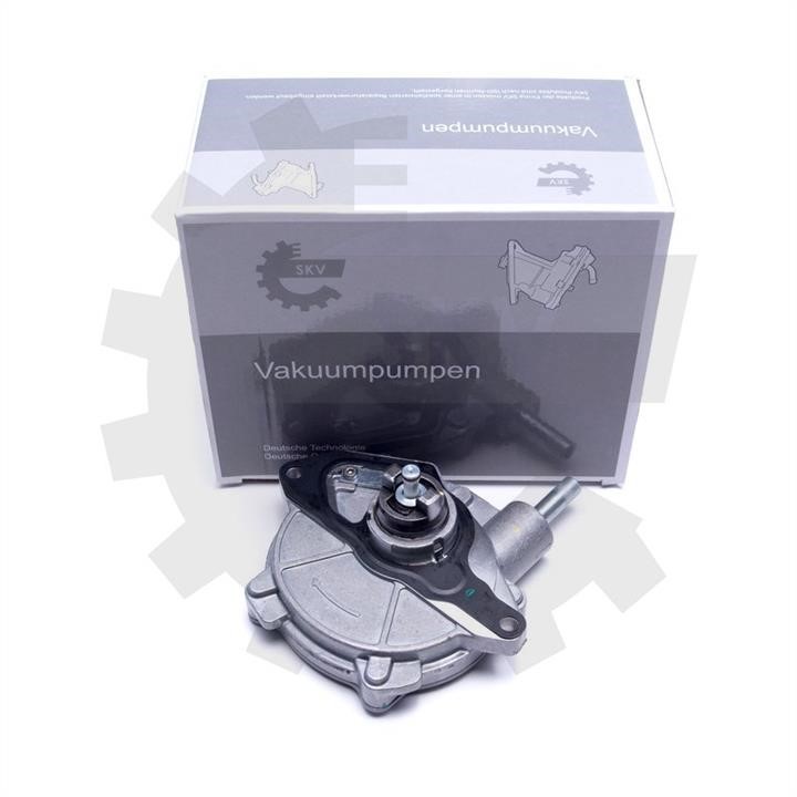 18SKV053 Esen SKV Vacuum Pump, braking system