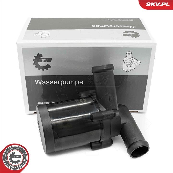 22SKV068 Esen SKV Auxiliary Water Pump (cooling water circuit)