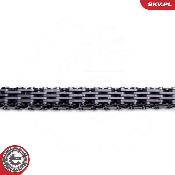 Timing Chain Kit Esen SKV 21SKV253