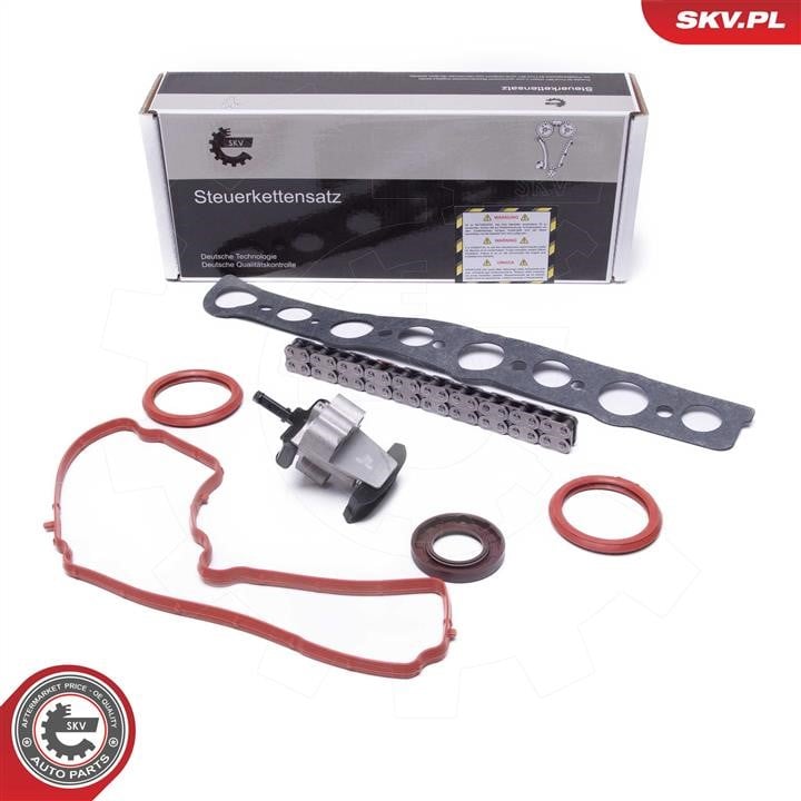21SKV254 Esen SKV Timing Chain Kit