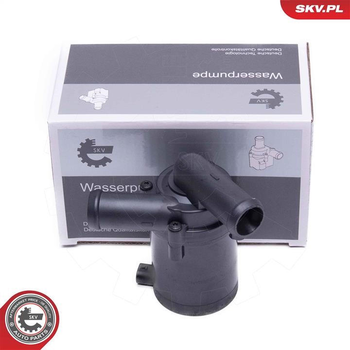 22SKV034 Esen SKV Auxiliary Water Pump (cooling water circuit)