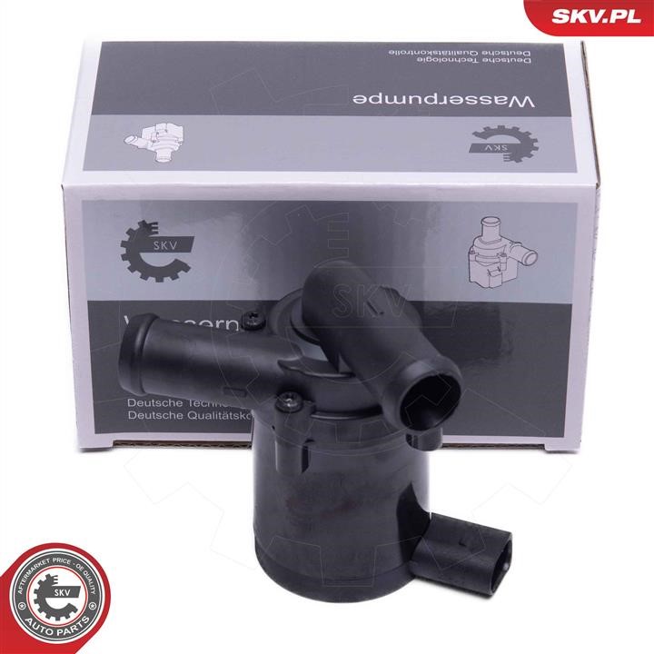 22SKV041 Esen SKV Auxiliary Water Pump (cooling water circuit)