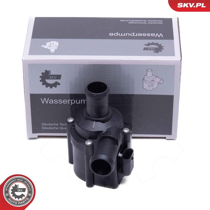 22SKV042 Esen SKV Auxiliary Water Pump (cooling water circuit)