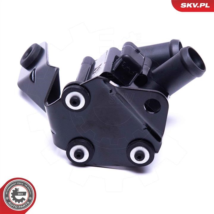 Auxiliary Water Pump (cooling water circuit) Esen SKV 22SKV043