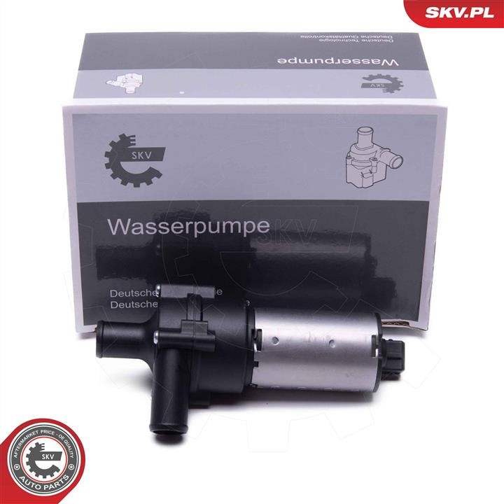 22SKV056 Esen SKV Auxiliary Water Pump (cooling water circuit)