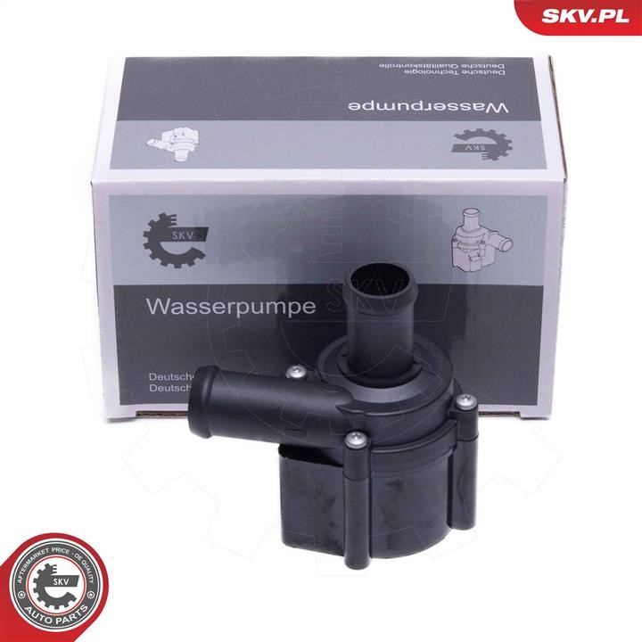 22SKV061 Esen SKV Auxiliary Water Pump (cooling water circuit)