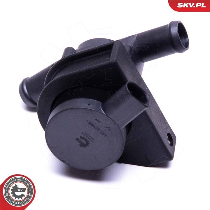 Auxiliary Water Pump (cooling water circuit) Esen SKV 22SKV064