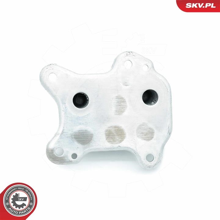 Buy Esen SKV 31SKV229 at a low price in United Arab Emirates!