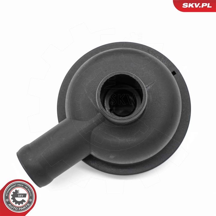 Valve, engine block breather Esen SKV 31SKV405