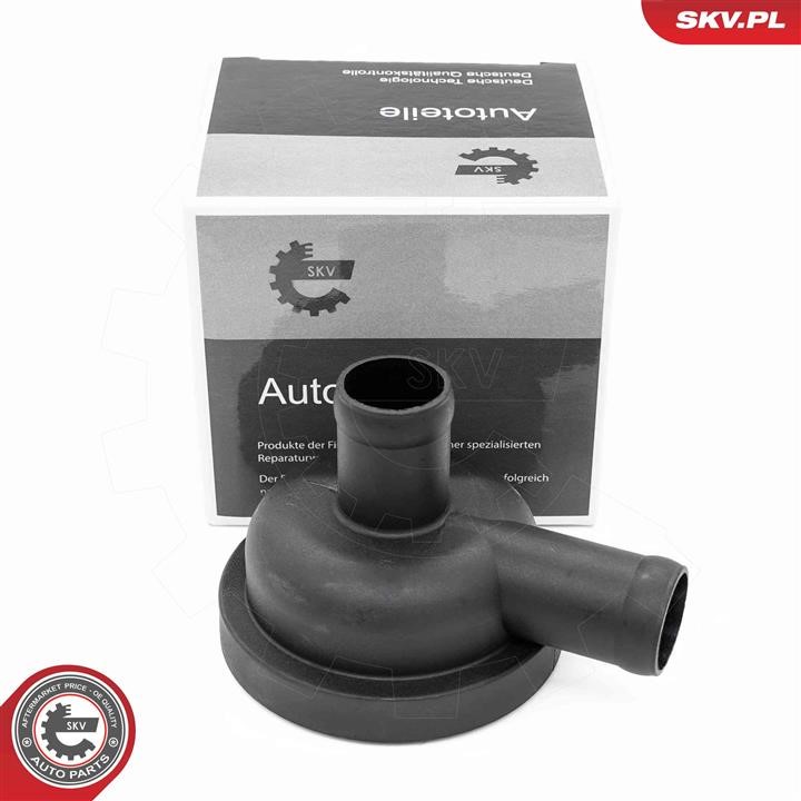 Crankcase vent valve Land Rover: 31SKV405 Esen SKV Valve, engine block breather