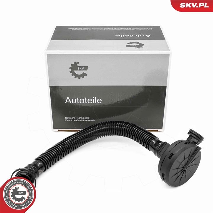 Crankcase vent valve Skoda Rapid: 31SKV407 Esen SKV Valve, engine block breather
