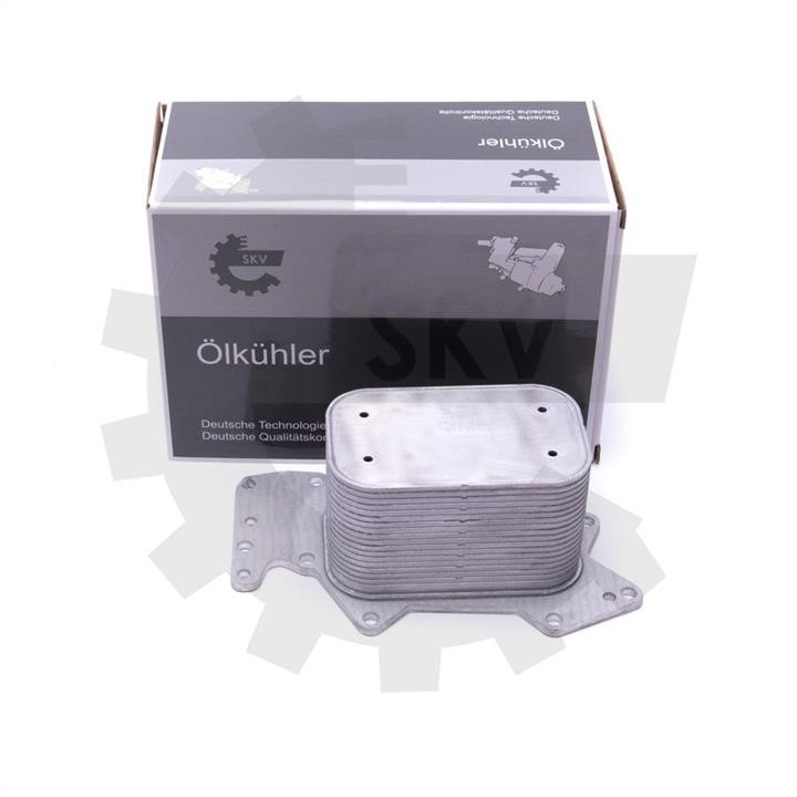 31SKV213 Esen SKV Oil cooler