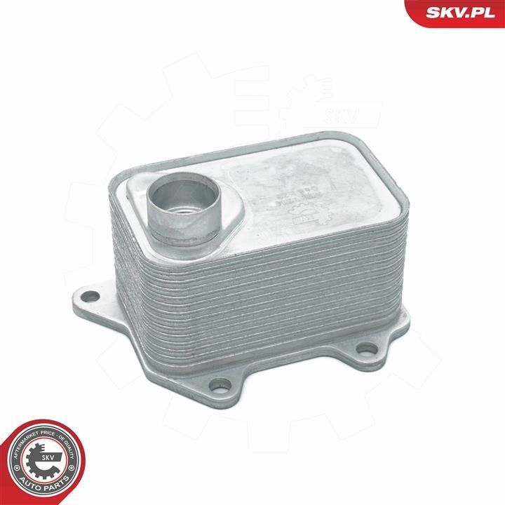 Buy Esen SKV 31SKV214 at a low price in United Arab Emirates!