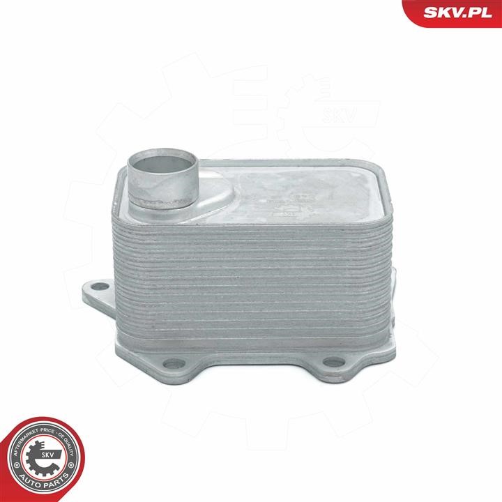 Buy Esen SKV 31SKV214 – good price at EXIST.AE!