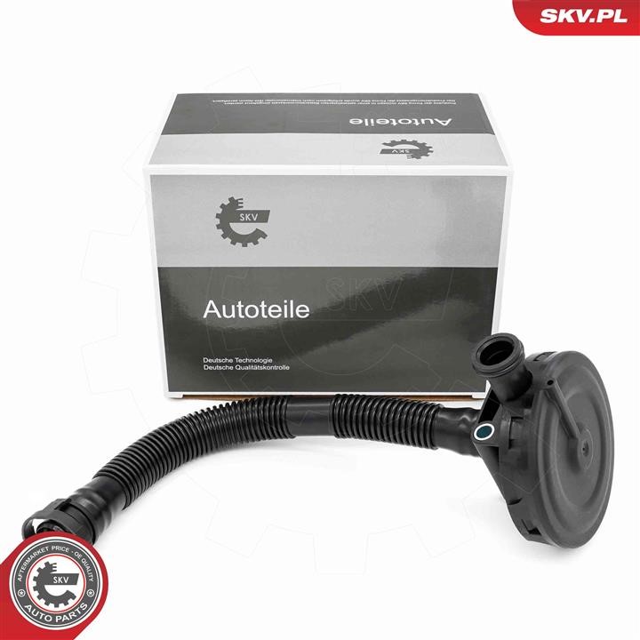 31SKV410 Esen SKV Valve, engine block breather