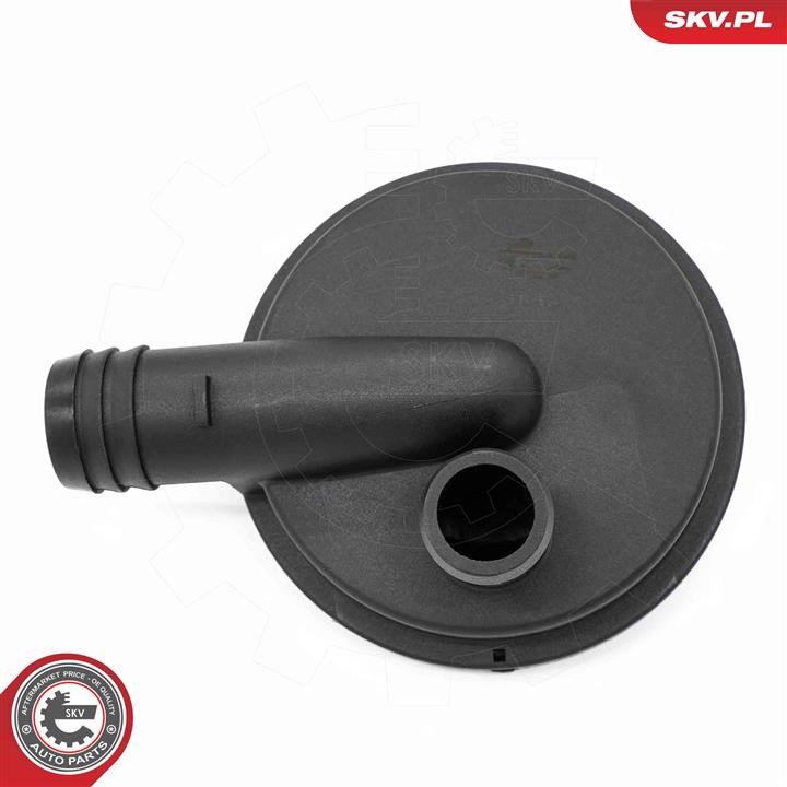 Valve, engine block breather Esen SKV 31SKV415