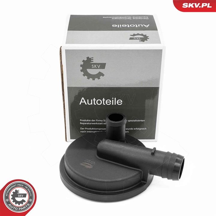 31SKV415 Esen SKV Valve, engine block breather