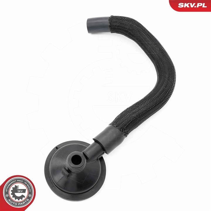 Valve, engine block breather Esen SKV 31SKV420