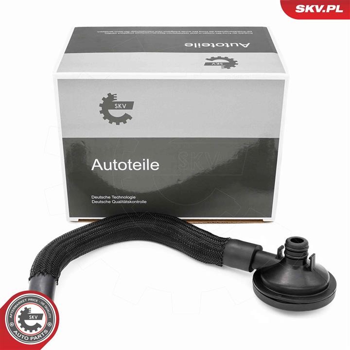 Crankcase ventilation valve Renault Clio: 31SKV420 Esen SKV Valve, engine block breather