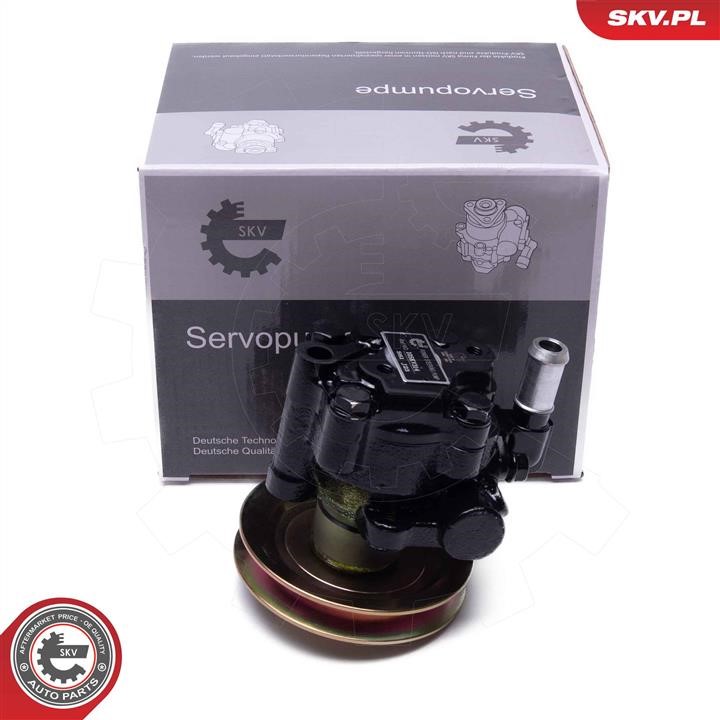 10SKV314 Esen SKV Hydraulic Pump, steering