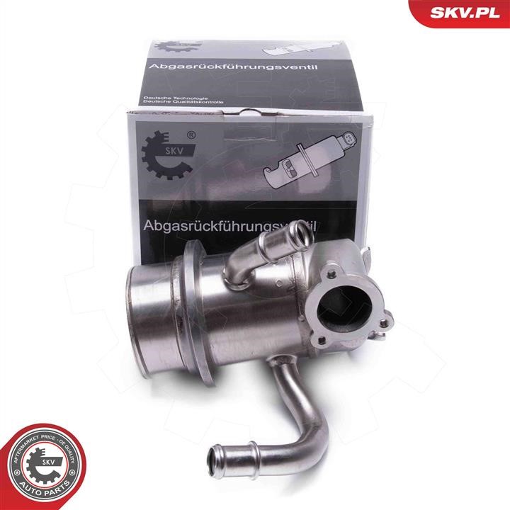 14SKV247 Esen SKV Cooler, exhaust gas recirculation