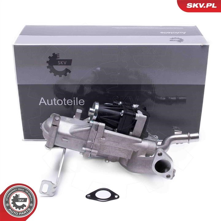 Exhaust system Citroen Dispatch/Jumpy 2 MPV: 14SKV250 Esen SKV Cooler, exhaust gas recirculation