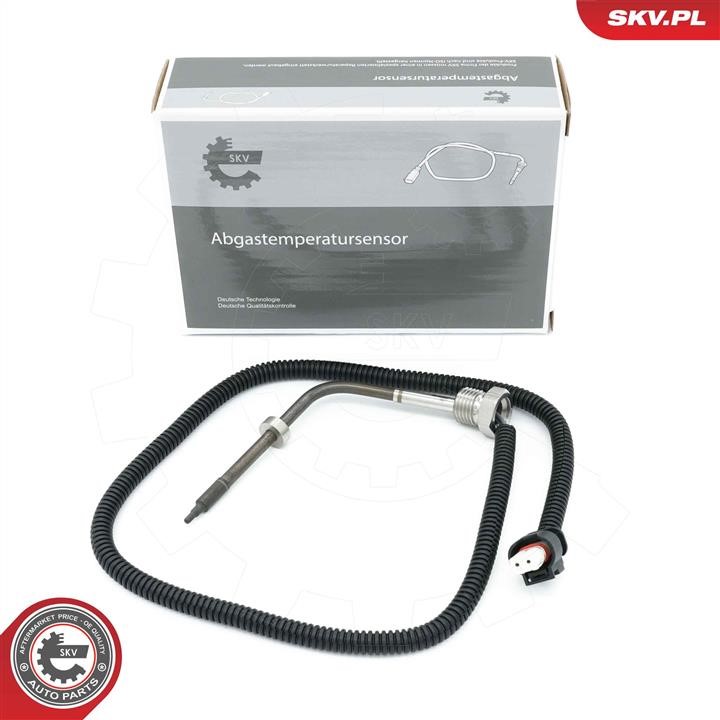 30SKV463 Esen SKV Sensor, exhaust gas temperature