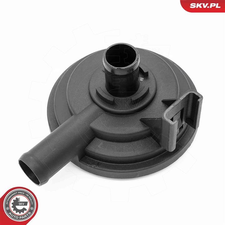Valve, engine block breather Esen SKV 31SKV416