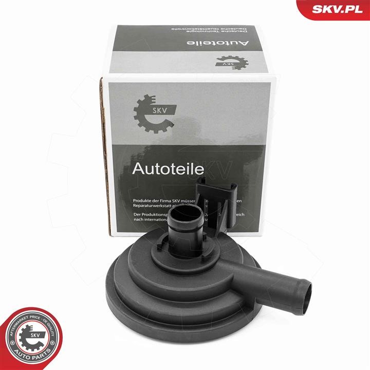 Crankcase ventilation valve Opel: 31SKV416 Esen SKV Valve, engine block breather