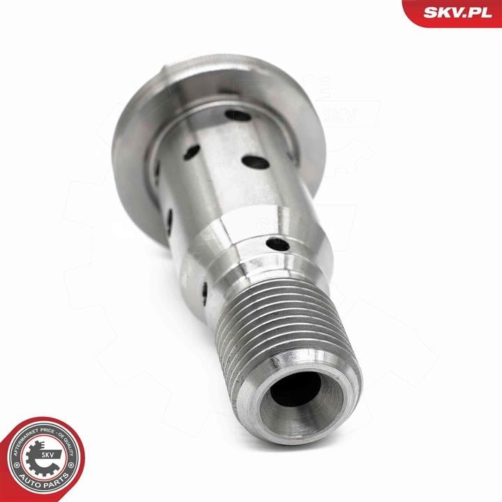 Control Valve, camshaft adjustment Esen SKV 39SKV074